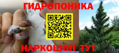 спайс Будённовск