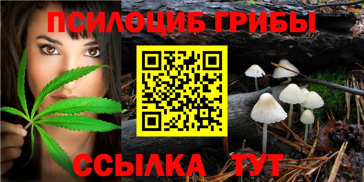 Галлюциногенные грибы Magic Shrooms  где купить наркоту  Туймазы  Вход с VPN  Псилоцибиновые грибы MAGIC MUSHROOMS 